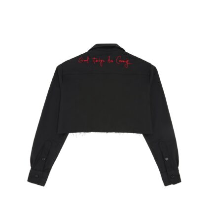 Valas Los Angeles Cropped Varsity V Shirt